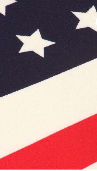 2004 Wave of the Flag LEGGINGS JV-J45