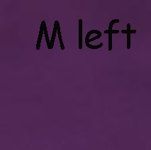 4188 1/4S Dolphin Hem w/ Side Buttons TOP in DK PURPLE