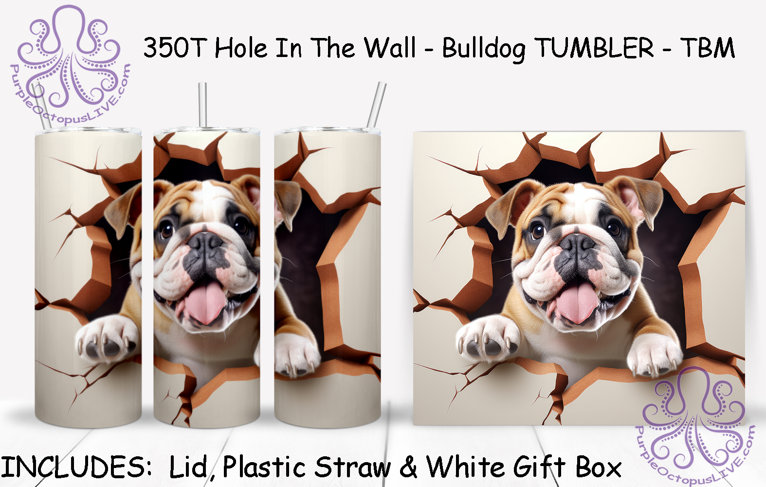 350T Hole In The Wall - Bulldog TUMBLER - TBM