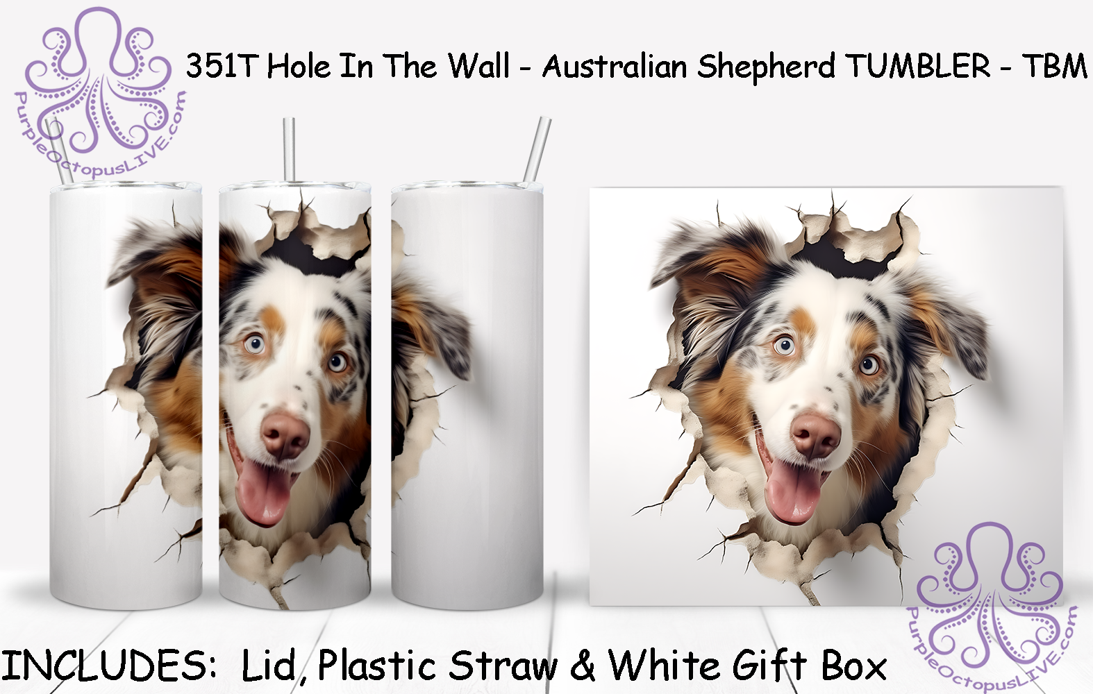 351T Hole In The Wall - Australian Shepherd TUMBLER - TBM