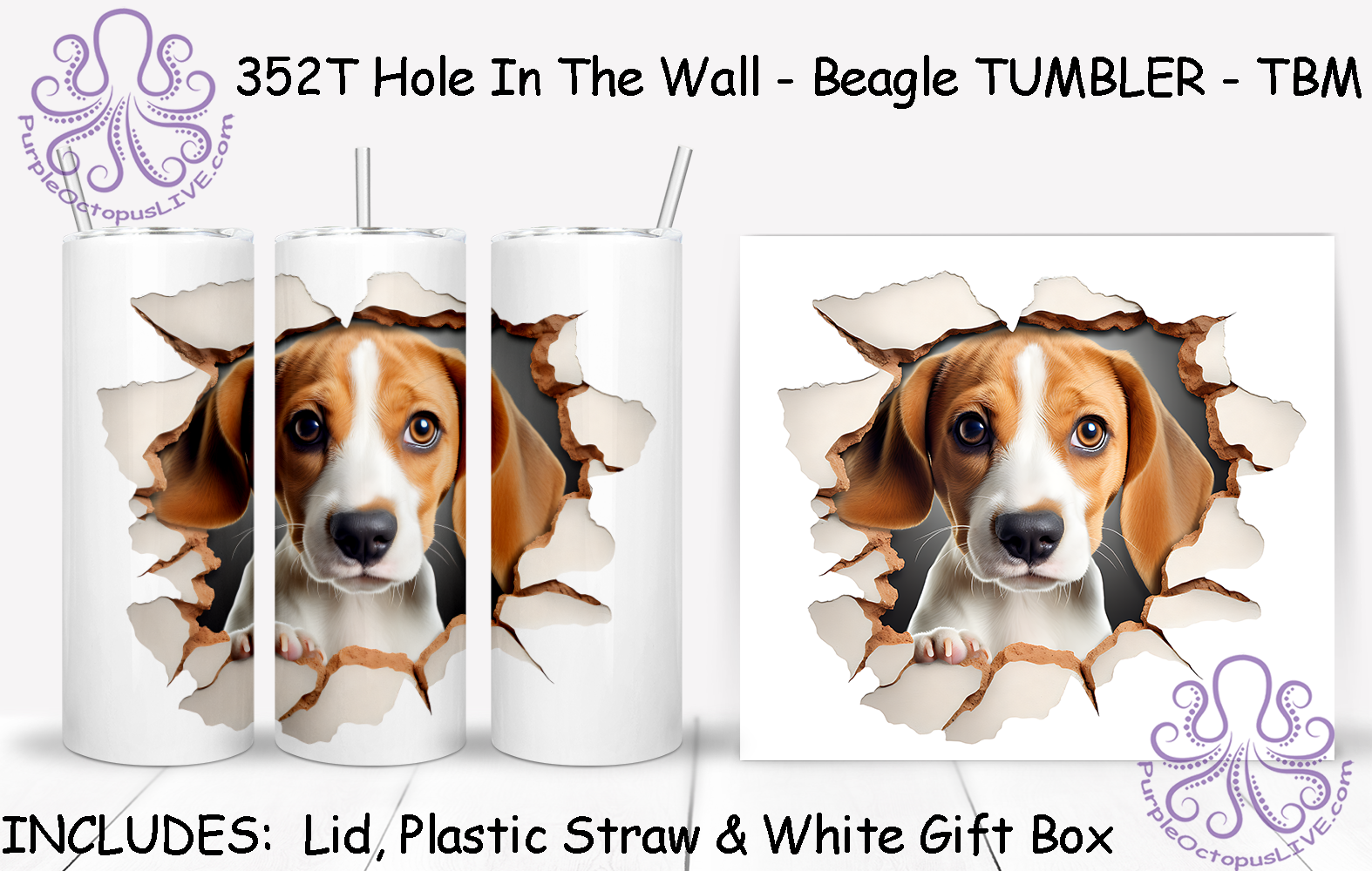 352T Hole In The Wall - Beagle TUMBLER - TBM