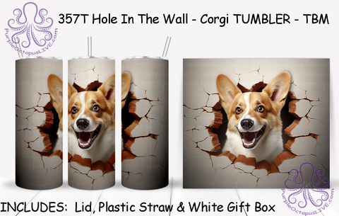 357T Hole In The Wall - Corgi TUMBLER - TBM