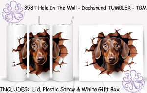 358T Hole In The Wall - Dachshund TUMBLER - TBM