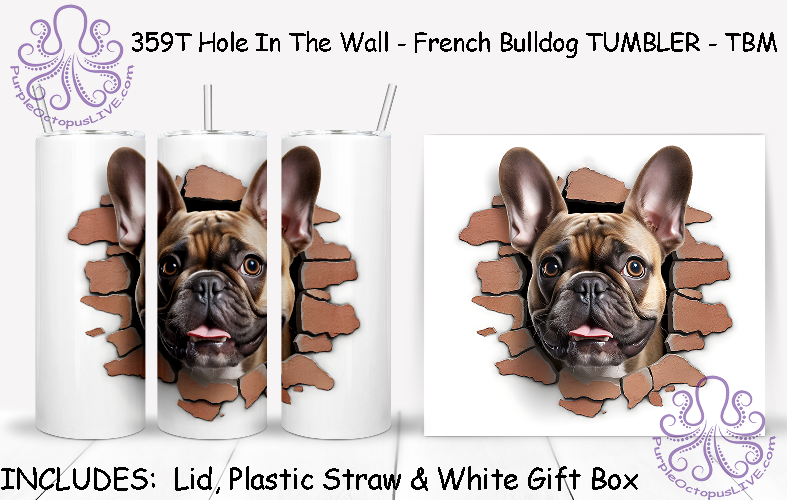 359T Hole In The Wall - French Bulldog TUMBLER - TBM