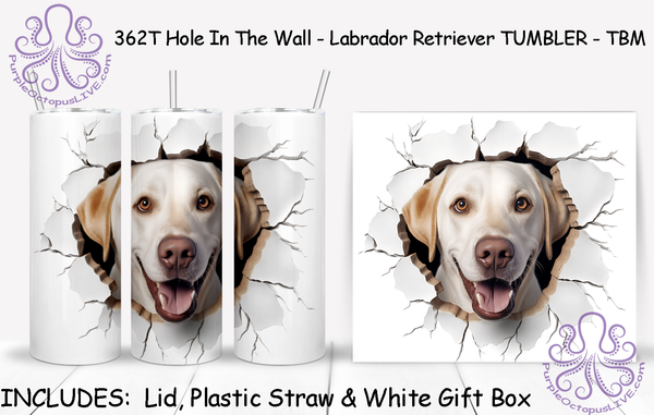 362T Hole In The Wall - Labrador Retriever TUMBLER - TBM