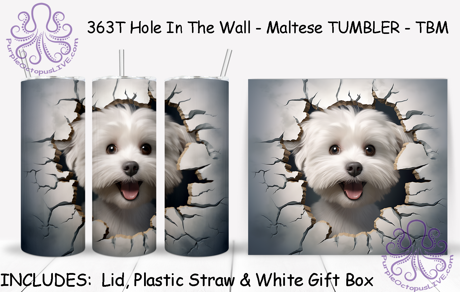 363T Hole In The Wall - Maltese TUMBLER - TBM