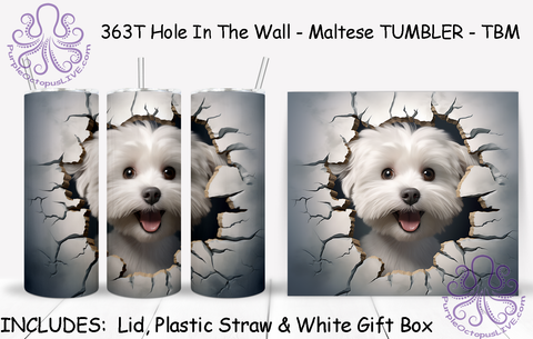 363T Hole In The Wall - Maltese TUMBLER - TBM