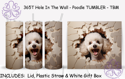 365T Hole In The Wall - Poodle TUMBLER - TBM