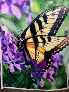 70004 Big Butterfly Sherpa Blanket JV-123