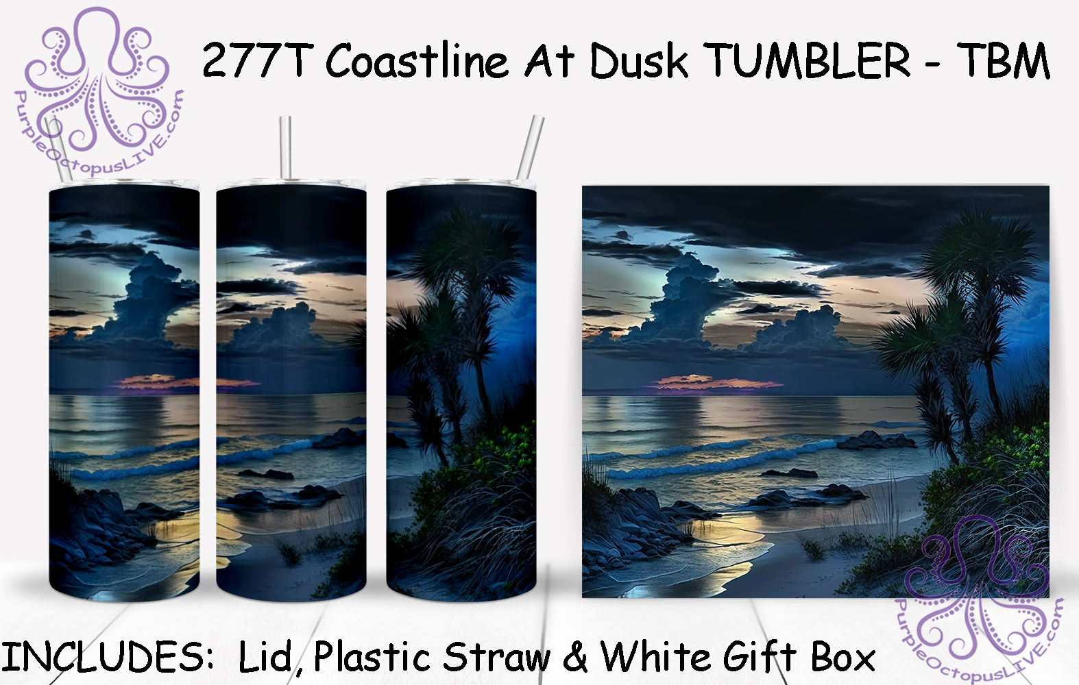277T Coastline At Dusk TUMBLER - TBM