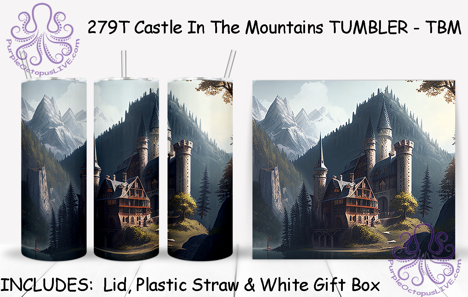279T Castle In The Mountains TUMBLER - TBM