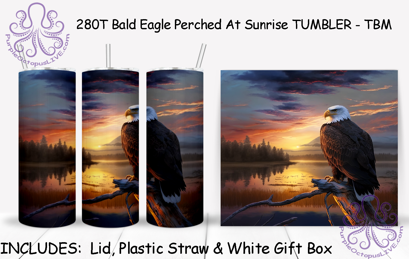 280T Bald Eagle Perched At Sunrise TUMBLER - TBM