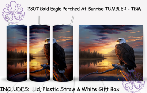 280T Bald Eagle Perched At Sunrise TUMBLER - TBM