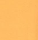 4058 1/4S Round Neck & Hem TOP in ASH MUSTARD