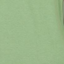 4800 0/0S V & Scoop Neck Reversible CAMI in KIWI